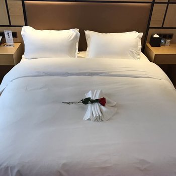 襄阳奕居假日酒店酒店提供图片