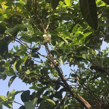 成都fishzxy特色民宿(神仙树北路分店)酒店提供图片