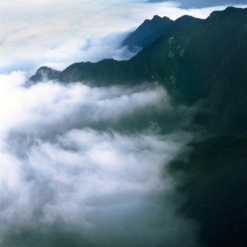 罗田大别山水上乐园山庄酒店提供图片