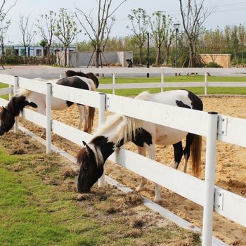 崇明绿地长岛壹号会所酒店提供图片