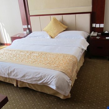 鄂尔多斯和效大酒店酒店提供图片