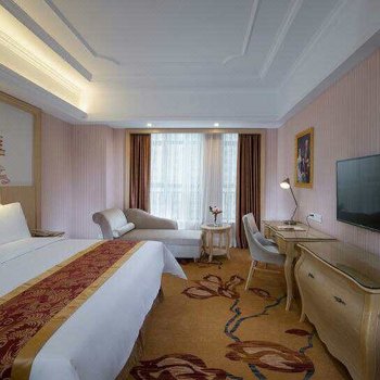 维也纳国际酒店(东莞石龙汇星商业中心店)酒店提供图片