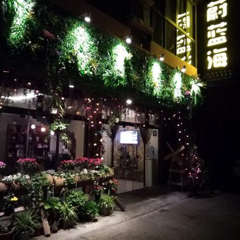 成都花水湾蔚蓝海酒店酒店提供图片