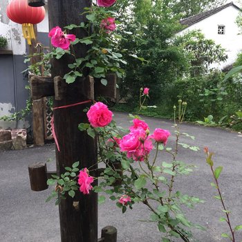 宜兴泠家客栈酒店提供图片