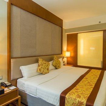 沈阳龙之梦瑞峰国际酒店酒店提供图片