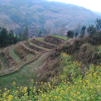 桂林龙胜竹林山居酒店提供图片