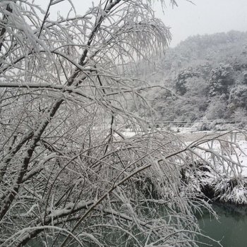 黄山悦心里酒店酒店提供图片