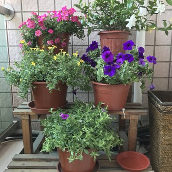 上海新博览中心世纪公园地铁旁酒店式公寓酒店提供图片