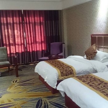 伊宁海润大饭店酒店提供图片
