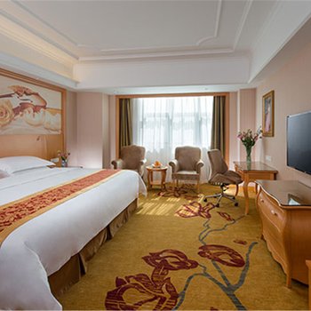 维也纳国际酒店(西安临潼兵马俑店)酒店提供图片