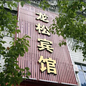 丽水龙松宾馆