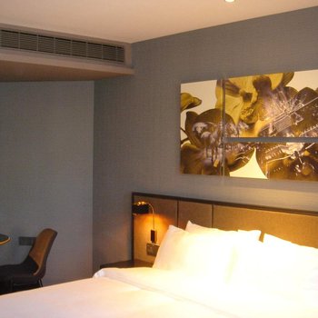 和颐至尊酒店(西安高新锦业路神州数码店)酒店提供图片