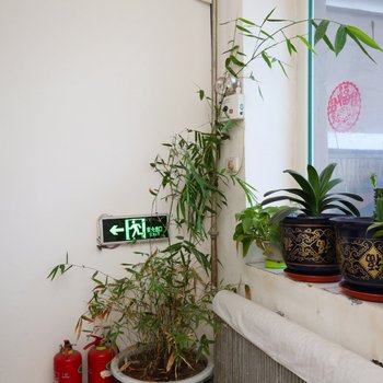 辉南万泉旅店酒店提供图片