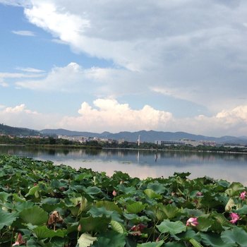 弥勒湖泉水乡公寓酒店提供图片