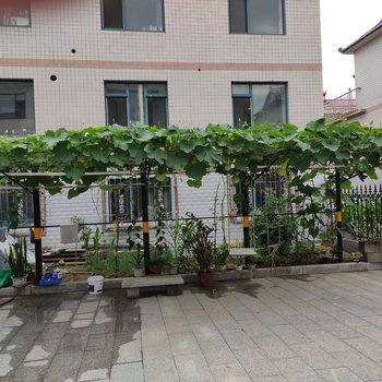 本溪玲玲度假别墅(玄武街分店)酒店提供图片