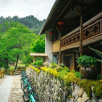 景宁伏田一叶客栈酒店提供图片