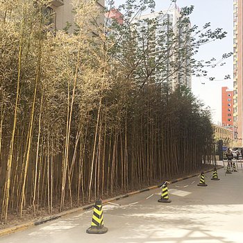 西安DDHOUSE豆窝西安公寓酒店提供图片