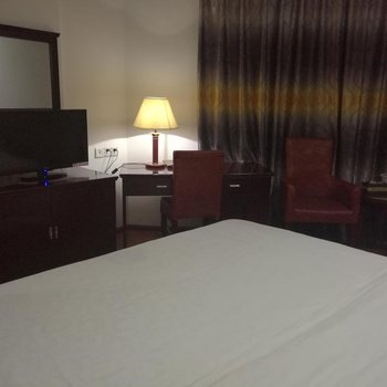 紫东轩大酒店酒店提供图片