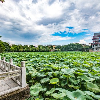 桂林恒大广场公寓酒店提供图片