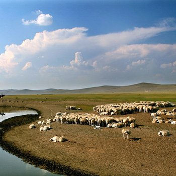 鄂伦春自治旗云山旅馆酒店提供图片