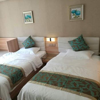 波密雪山江景大酒店酒店提供图片