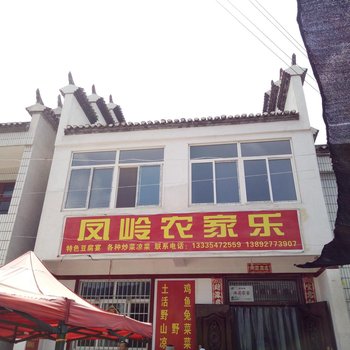 凤县凤岭农家乐