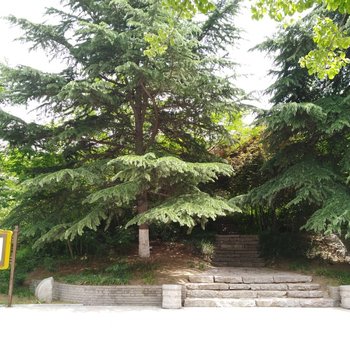 西安三好的家普通公寓酒店提供图片