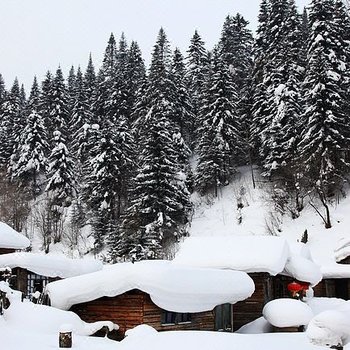 雪乡老东北客栈酒店提供图片