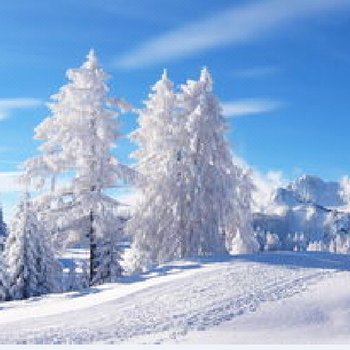 雪乡宋小宝客栈