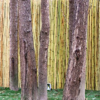 成都摩登青城独栋别墅酒店提供图片