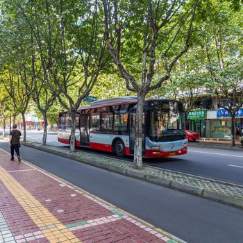 成都丁小壳普通公寓酒店提供图片