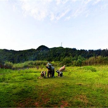 巫山县朝元山庄酒店提供图片