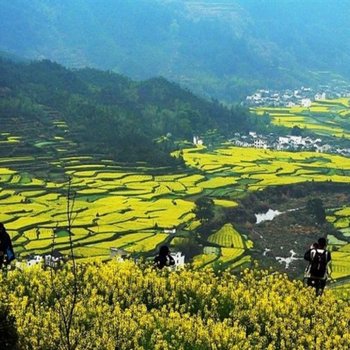 婺源沿河居民宿(东和路分店)酒店提供图片