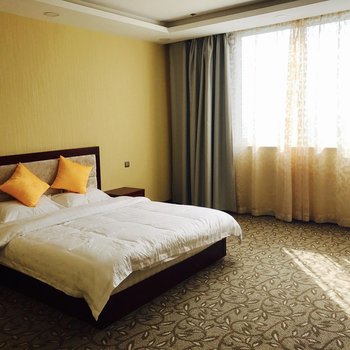 海安辰洋大酒店酒店提供图片