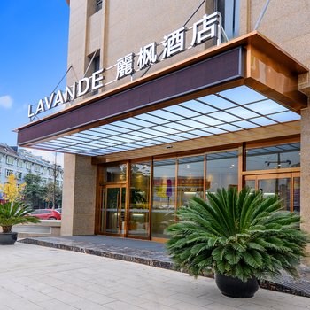 麗枫酒店(成都新津儒林路地铁站店)