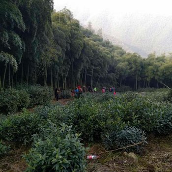 德清莫干山嵩溪山庄酒店提供图片