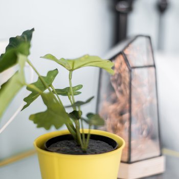 上海上海北欧浪漫之家普通公寓(长阳路店)酒店提供图片