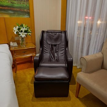 维纳斯国际酒店(上海国际旅游度假区野生动物园店)酒店提供图片