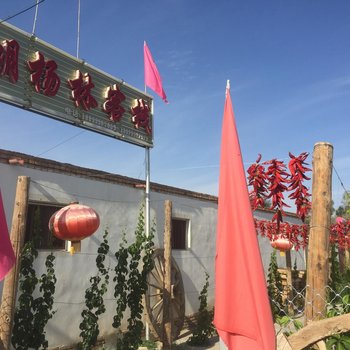 金塔县胡杨林客栈公寓酒店提供图片