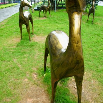 广州长隆高喜度假公寓酒店提供图片