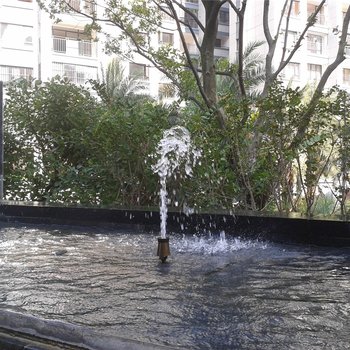 桂林梦幻水晶家庭公寓酒店提供图片