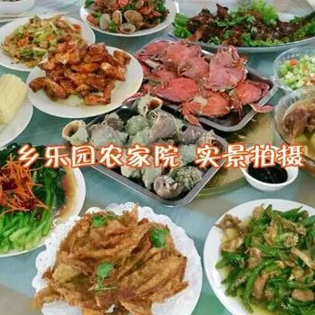 绥中乡乐园农家院酒店提供图片