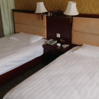 汉中城固昊风格大酒店酒店提供图片