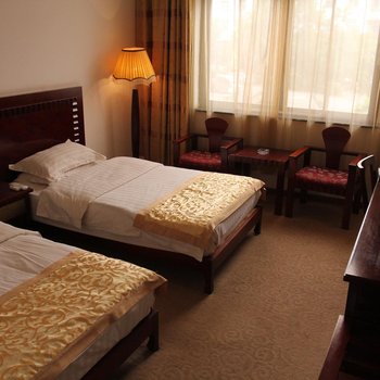 普洱镇沅大酒店酒店提供图片