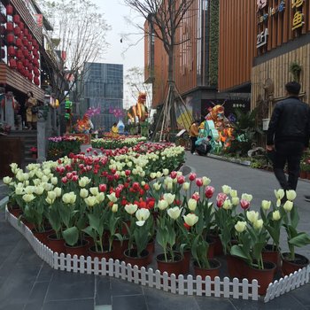 成都张崇民公寓(高车一路分店)酒店提供图片