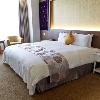 嘉义皇品国际酒店酒店提供图片