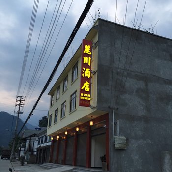 芦山麗川酒店酒店提供图片