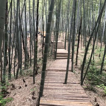 常州丽华小院
