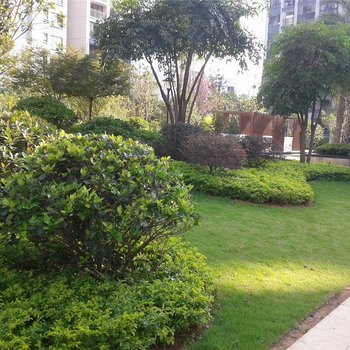 桂林梦幻水晶家庭公寓酒店提供图片