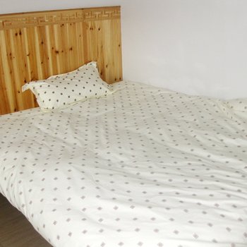 宏村王家艺术酒店酒店提供图片